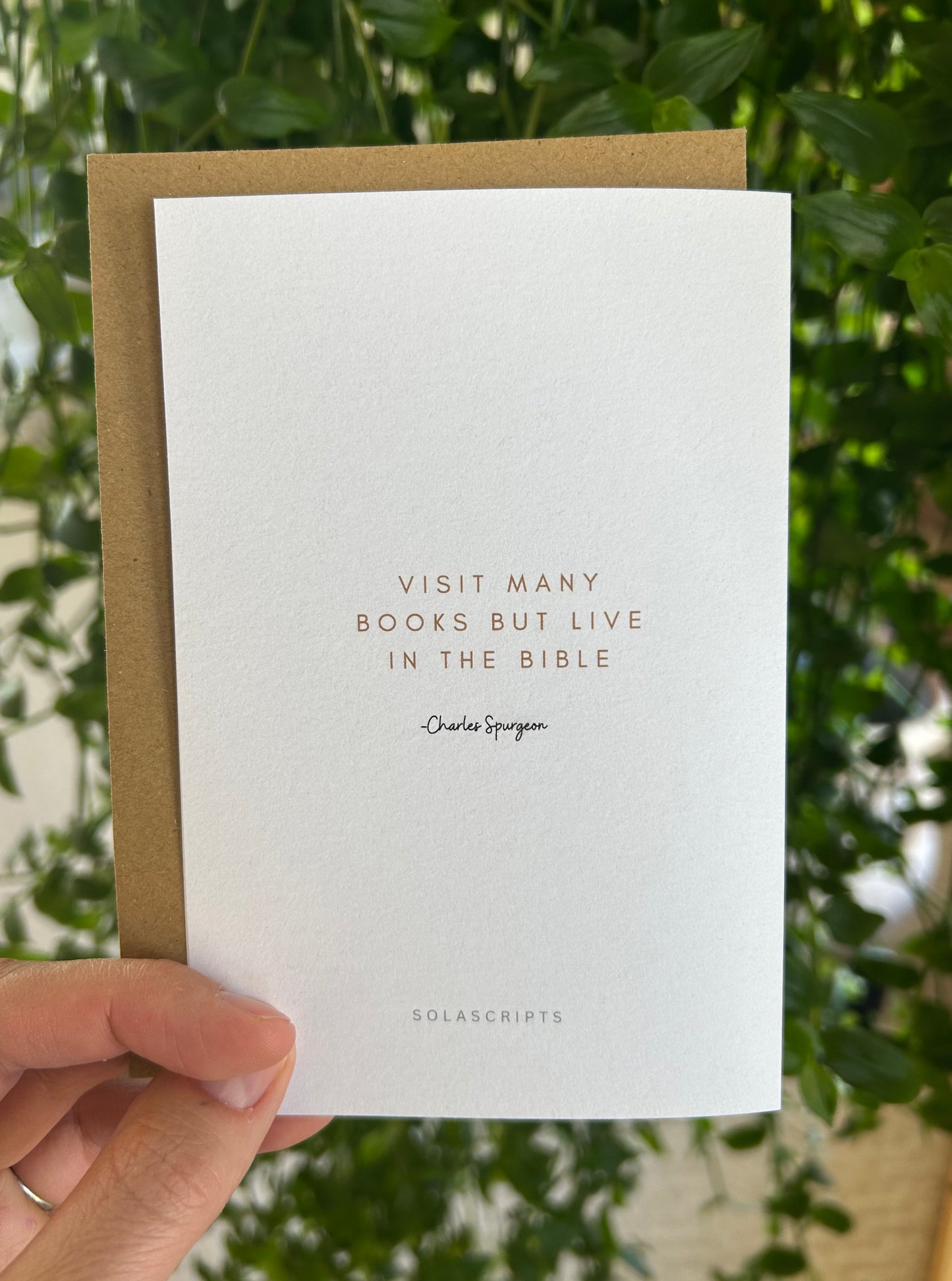 Birthday Bookstore Set